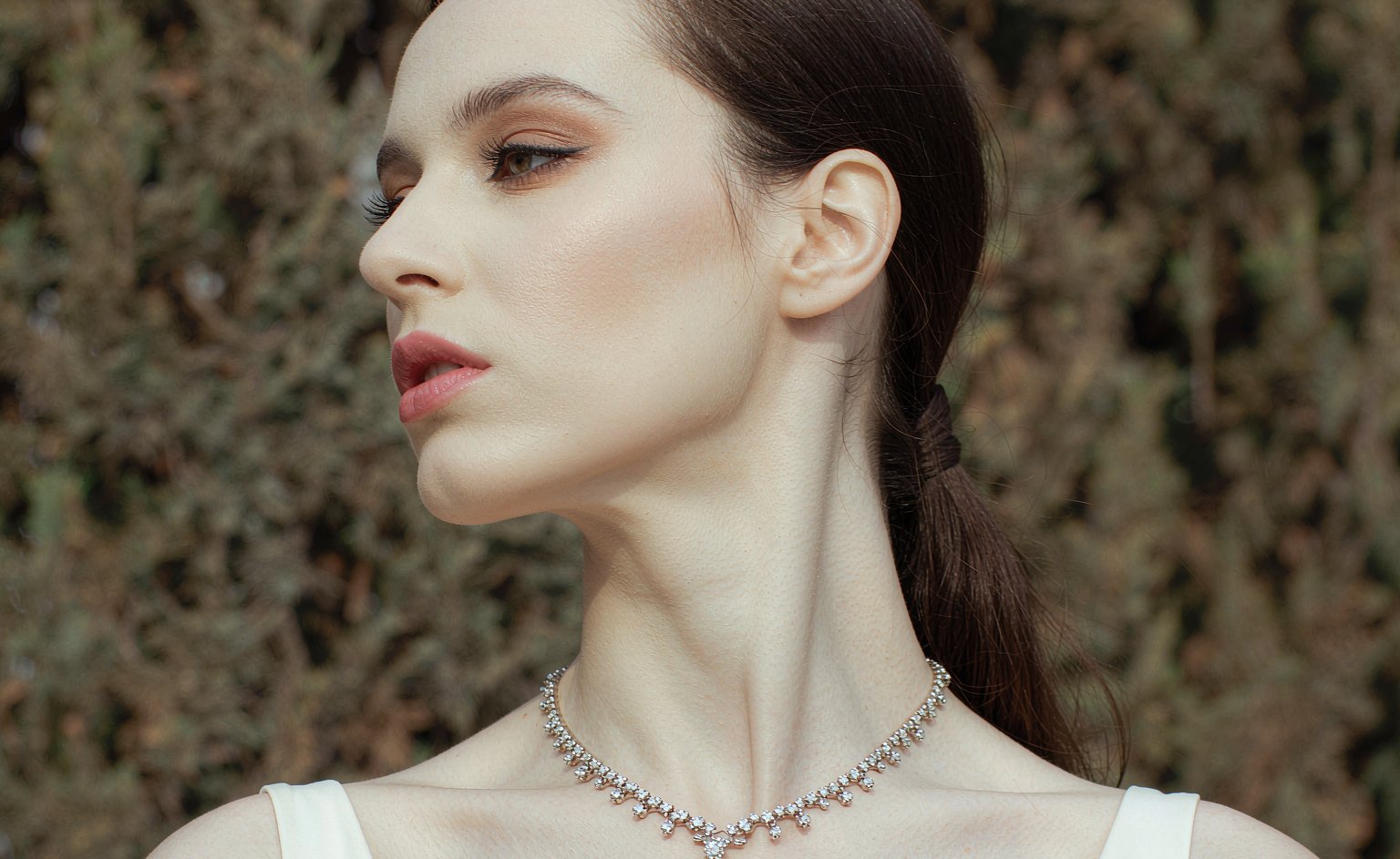 Jawline and cheek contours